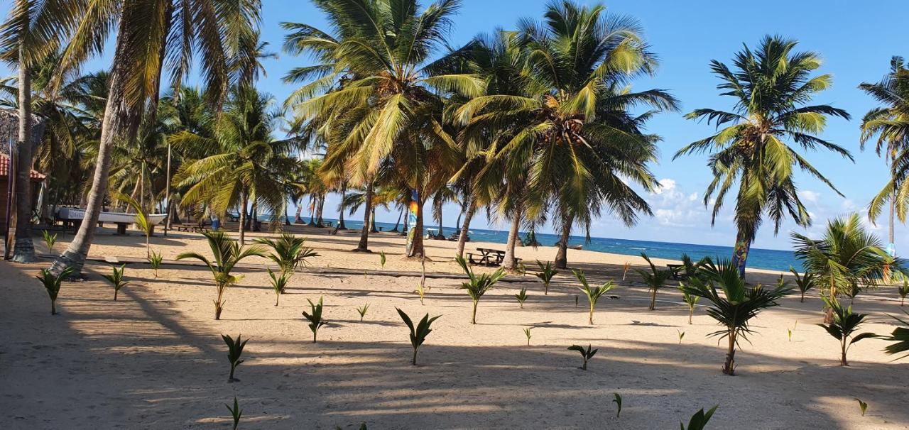 Puntacana Ecolodge Lavacama Beach Costa Arrecife By Aa Crypto Group Punta Cana Buitenkant foto