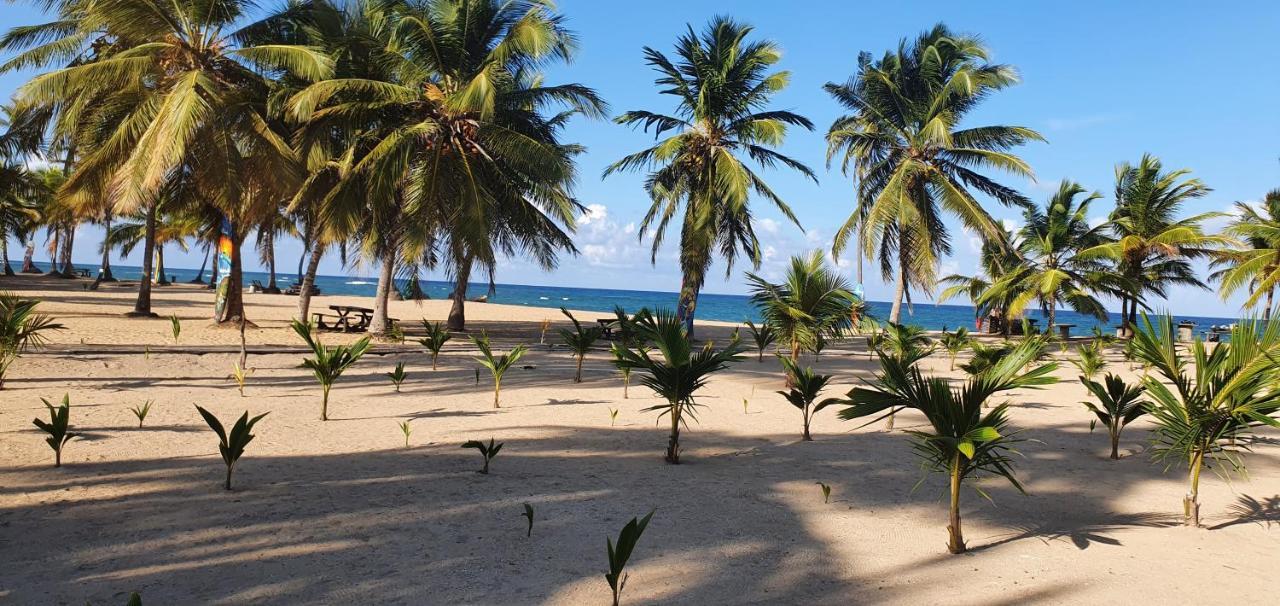 Puntacana Ecolodge Lavacama Beach Costa Arrecife By Aa Crypto Group Punta Cana Buitenkant foto
