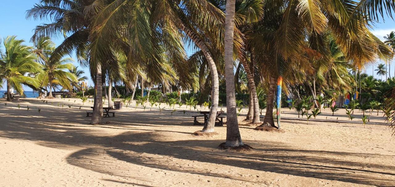 Puntacana Ecolodge Lavacama Beach Costa Arrecife By Aa Crypto Group Punta Cana Buitenkant foto
