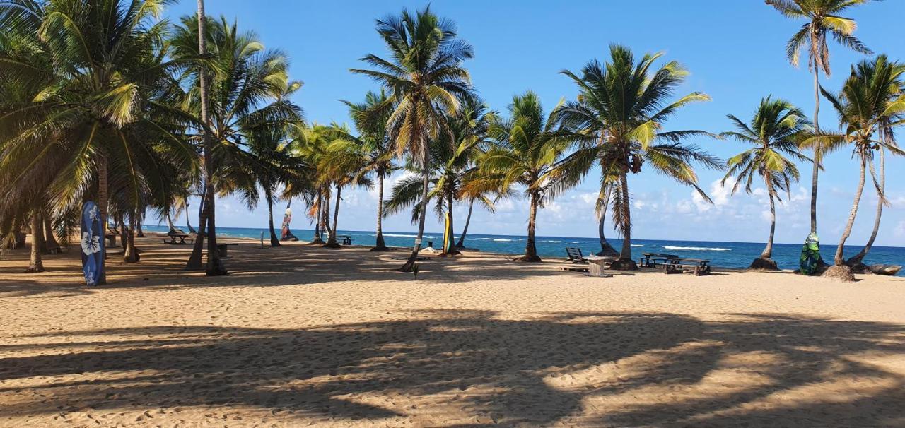 Puntacana Ecolodge Lavacama Beach Costa Arrecife By Aa Crypto Group Punta Cana Buitenkant foto