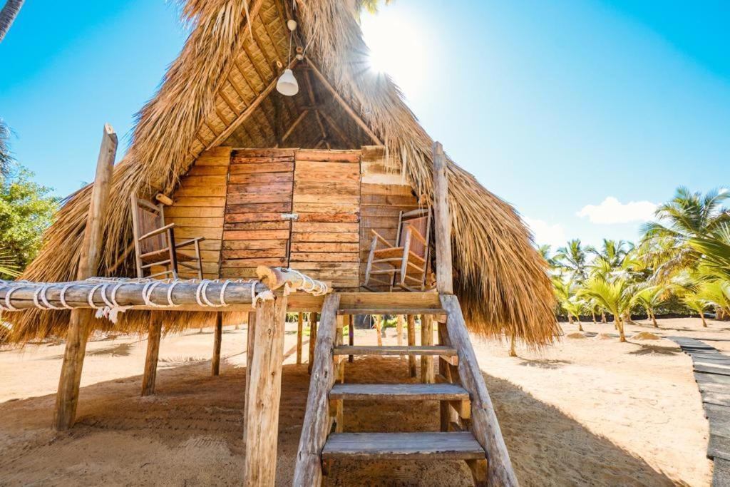 Puntacana Ecolodge Lavacama Beach Costa Arrecife By Aa Crypto Group Punta Cana Buitenkant foto