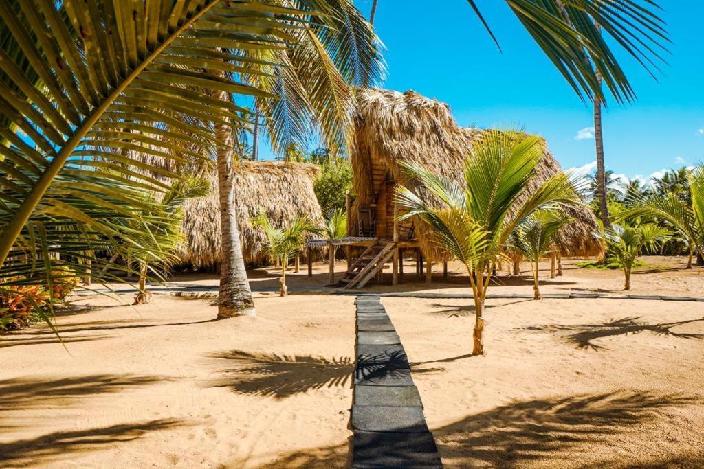 Puntacana Ecolodge Lavacama Beach Costa Arrecife By Aa Crypto Group Punta Cana Buitenkant foto
